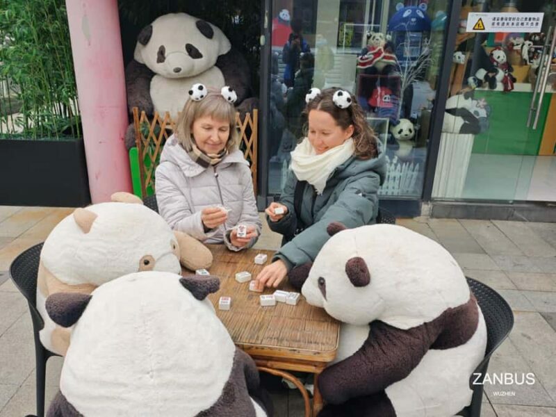 Chengdu: Panda Park & Optional Leshan Giant Buddha Tour - Final Thoughts
