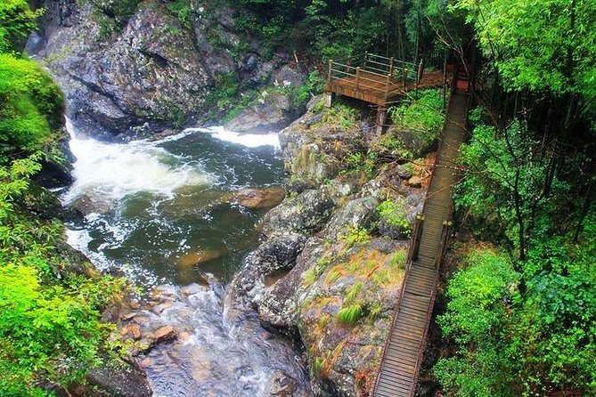 Chengdu Private Day Tour: Du Jiang Yan Panda Base and Qingcheng Mountain - Related Activities and Recommendations