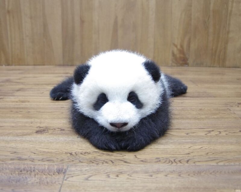 Chengdu: Private Full-Day Panda, City, Museum, & Park Tour - Key Points