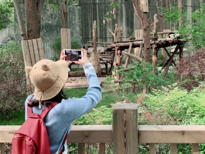 Chengdu: Private Panda Base Tour With 80 Pandas - Optional Tour Locations