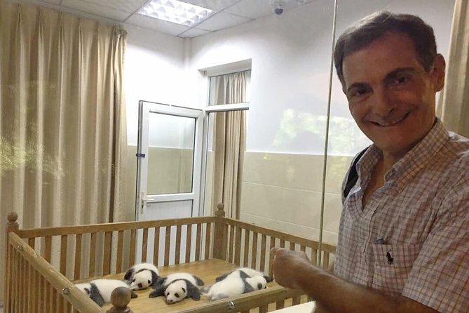 Chengdu Private Sightseeing Tour With Panda Breeding Center Visit - Itinerary Highlights