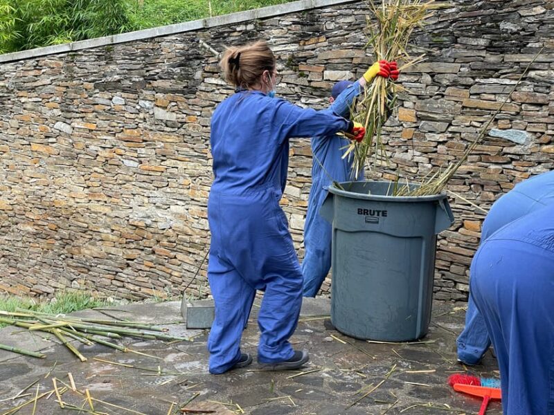 Chengdu to Dujiangyan or Wolong Panda Volunteering Day Tour - Guided Tour Details