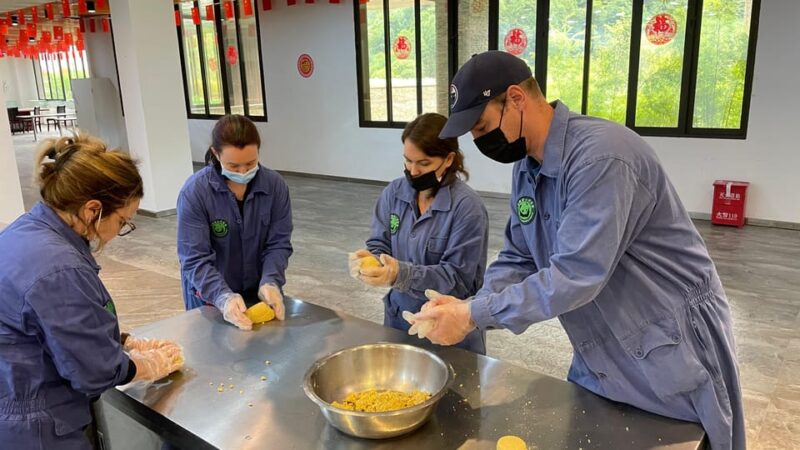 Chengdu to Dujiangyan or Wolong Panda Volunteering Day Tour - Volunteer Requirements