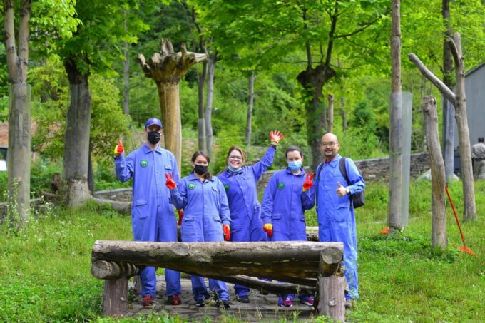 Chengdu to Dujiangyan or Wolong Panda Volunteering Day Tour - Pickup and Transportation