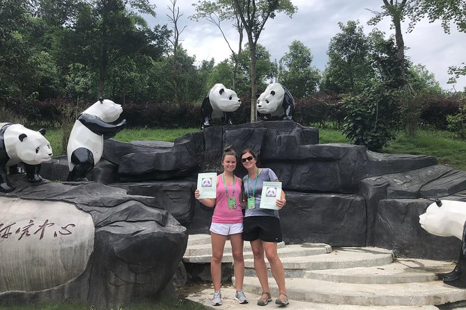 Chengdu Wolong Panda Base Volunteer Experience Review - Key Points