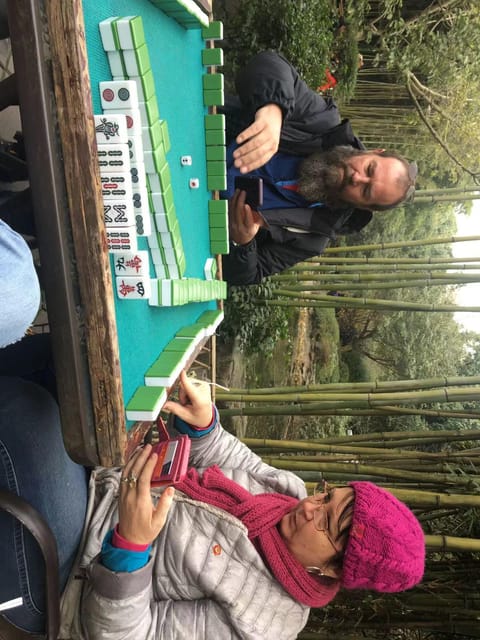 Chengdu:Giant Pandas and Old Chengdu Day Tour - Important Information