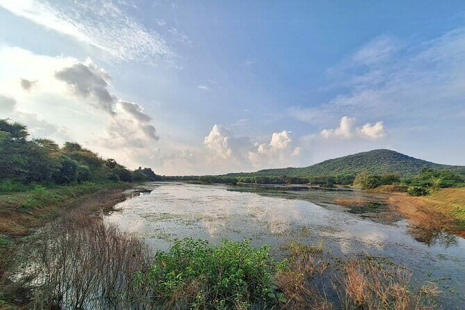Chennai, Birding with Spotting Scope & Photography 2-3 hours - Who Should Consider This Tour?