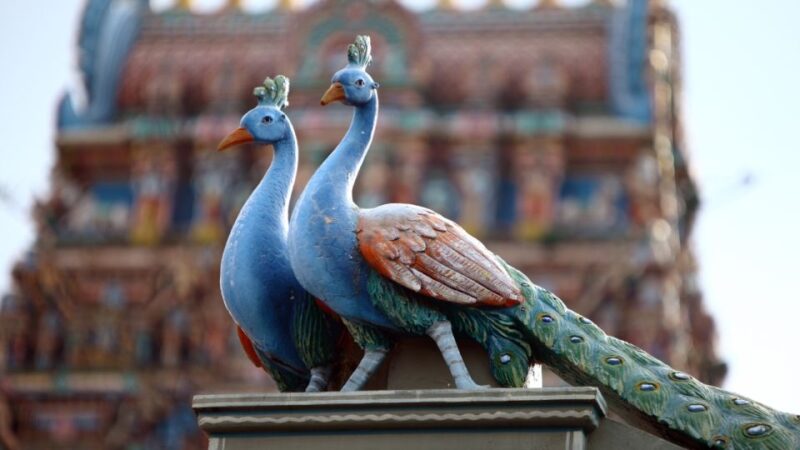 Chennai: St. George Fort, Kapaleeshwarar Temple & Marina - Itinerary Highlights