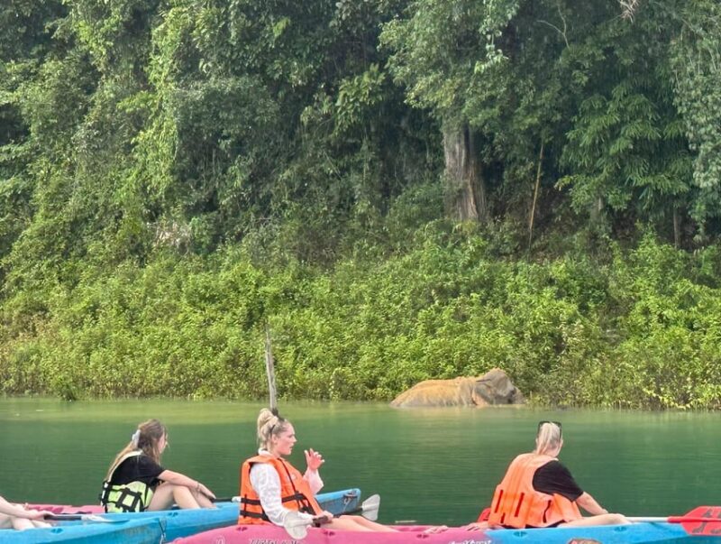 Cheow Larn Lake - Hiking - Cave Explore - Wildlife Safari - Scenic Views and Activities