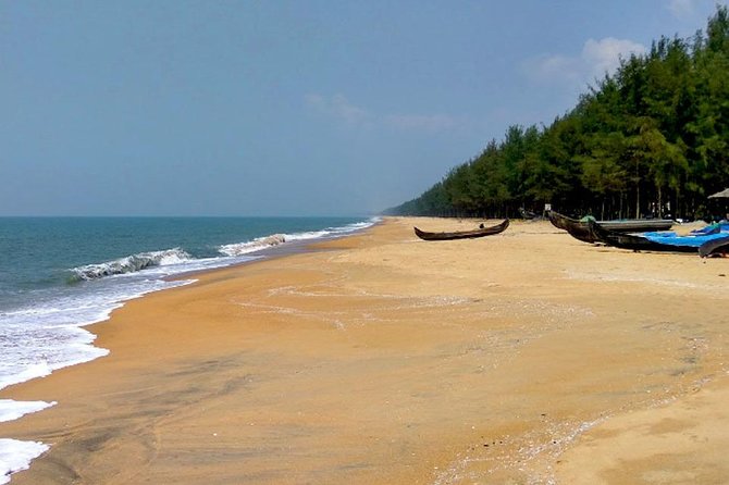 Cherai Beach Tour - Key Points