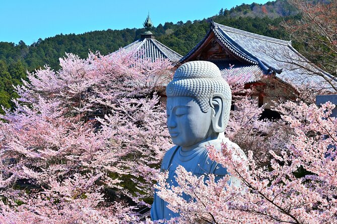 Cherry Blossom Buddha and Mt.Yoshino With Strawberry Picking Tour - Inclusions