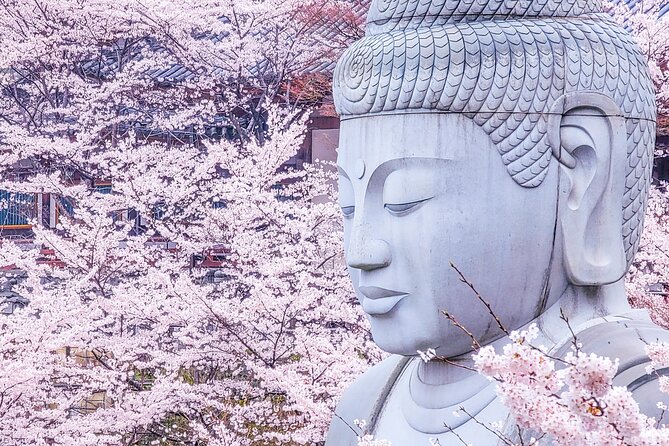Cherry Blossom Buddha and Mt.Yoshino With Strawberry Picking Tour - Important Information