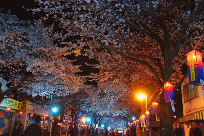 Cherry Blossom East Day Tour in Jeju - Pick-Up Details