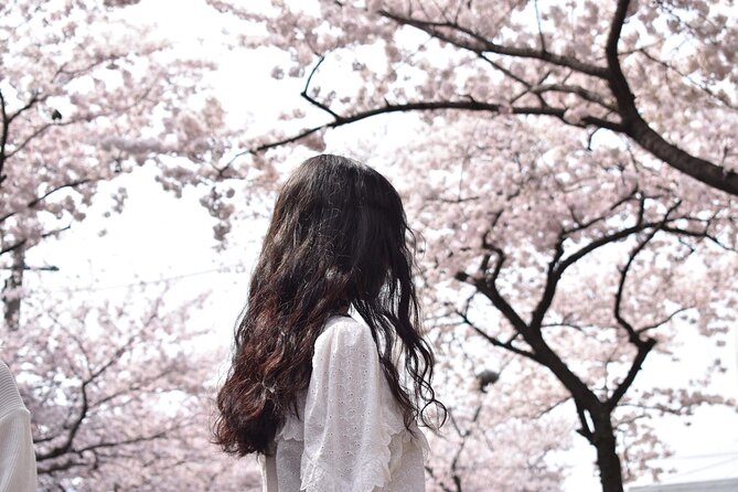 Cherry Blossom East Day Tour in Jeju - Key Points