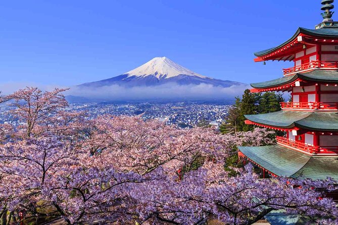Cherry Blossom Mount Fuji Customizable Luxury Vehicle Guided Tour - Key Points
