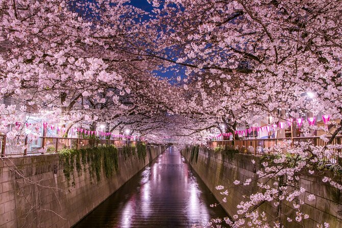 Cherry Blossom Mount Fuji Customizable Luxury Vehicle Guided Tour - Inclusions