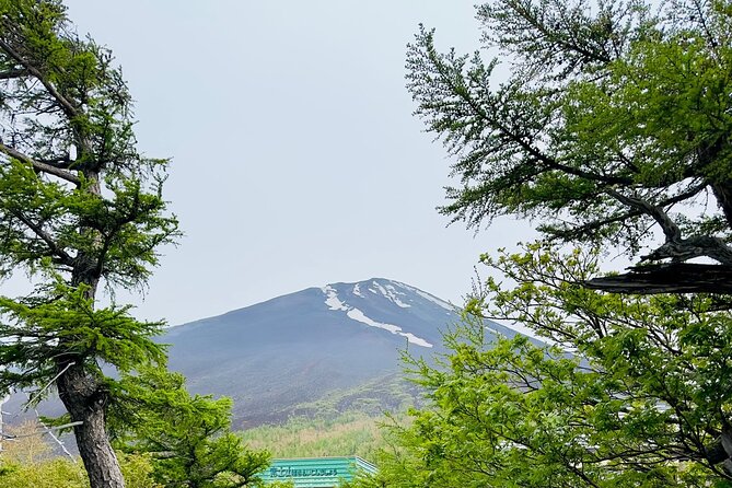 Cherry Blossom Mount Fuji Customizable Luxury Vehicle Guided Tour - Accessibility