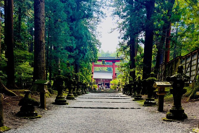 Cherry Blossom Mount Fuji Customizable Luxury Vehicle Guided Tour - Explore the Cherry Blossoms