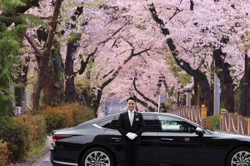 Cherry Blossom Private Tour - Experience Highlights