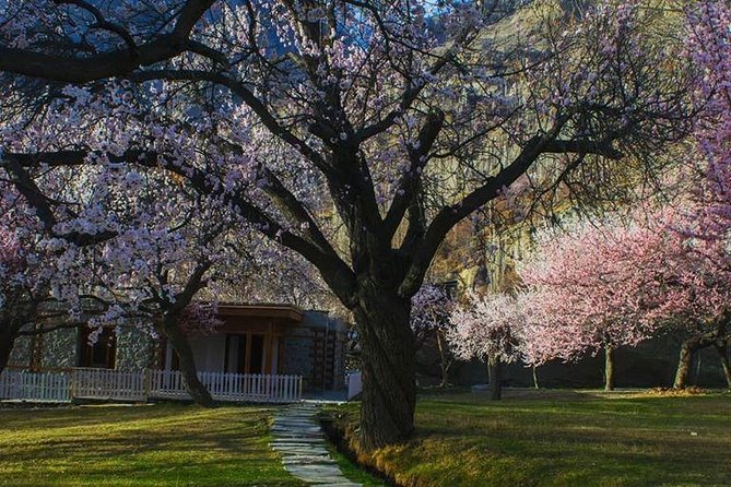 Cherry Blossom Tour -Hunza Valley - Key Attractions