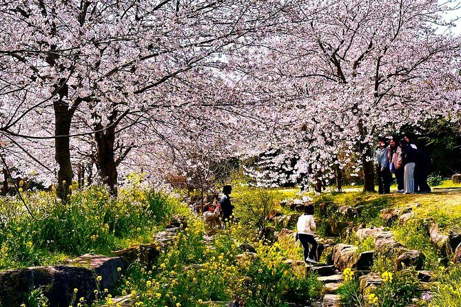 Cherry Blossom Tour in South Jeju Island & Tangerine Cafe - Cheonjeyeon Falls: A Majestic Waterfall