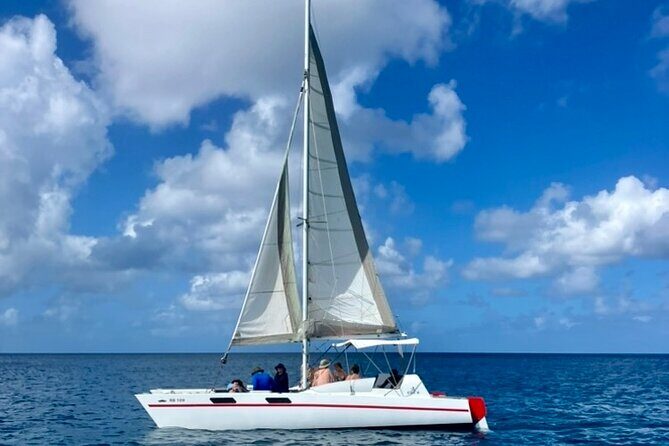 Ches snorkel cruise! turtles & shipwrecks (semi private) - Who Will Love This Tour?