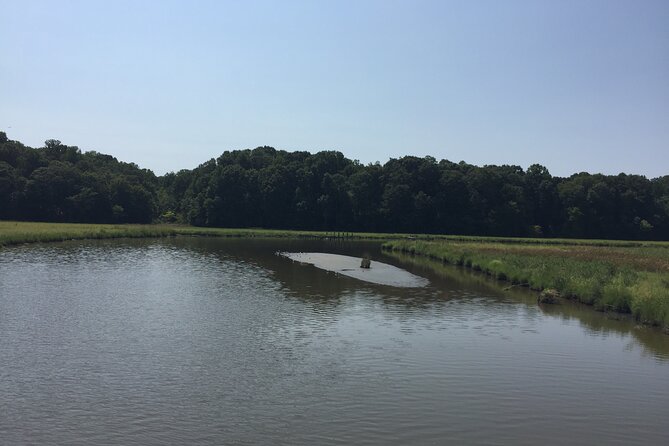 Chesapeake Beach Guided Walking Tour - Railway Trail - Accessibility and Requirements