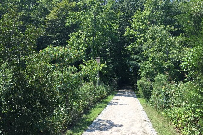 Chesapeake Beach Guided Walking Tour - Railway Trail - Wildlife and Trail Features