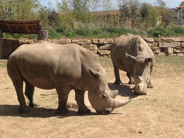 Chessington World of Adventures Independent Full Day Private Tour - Key Points