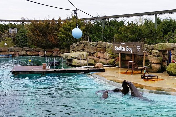 Chessington World of Adventures Independent Full Day Private Tour - Recap