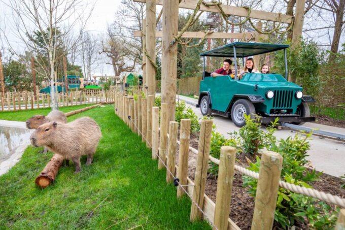 Chessington World of Adventures Resort: Entrance Ticket - Recap