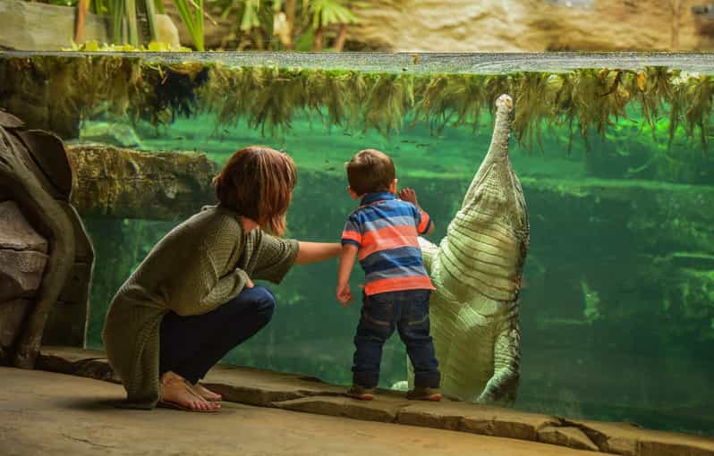Chester: Chester Zoo Entry Ticket - Zoo Highlights and Attractions