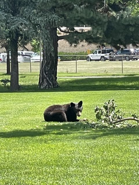 Cheyenne Cañon Art and Nature Segway Tour - Experience Highlights
