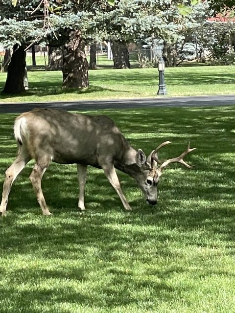 Cheyenne Cañon Art and Nature Segway Tour - Participant Requirements