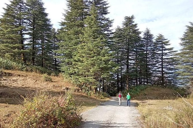 Chhaskhet Nature Walk - Operated by TrailHikers