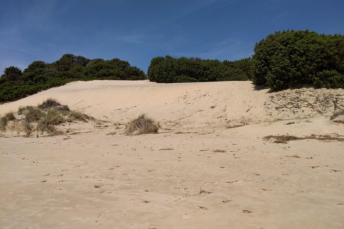 Chia Beaches Tour From Cagliari - Tour Details