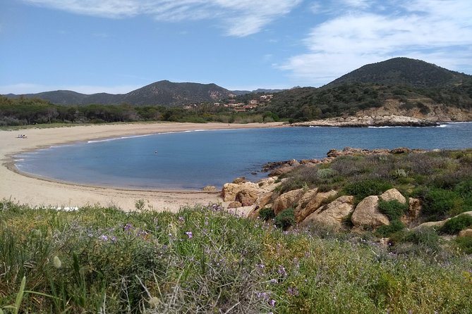 Chia Beaches Tour From Cagliari - Transportation and Accessibility