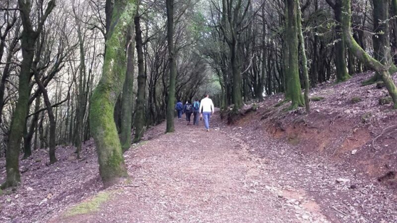 Chia: Trekking and Waterfall Swimming Half–Day Tour - Highlights of the Tour