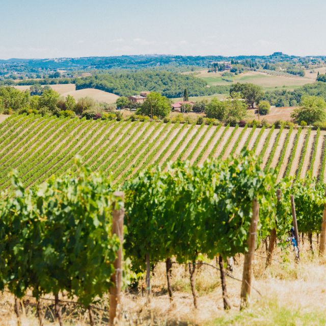 Chianciano Terme: Boutique Winery Tour With Tastings - Accessibility and Options