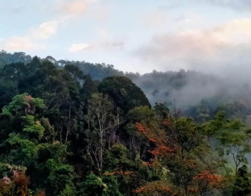 Chiang Dao Trekking & Hidden Village Adventure - Included in the Tour
