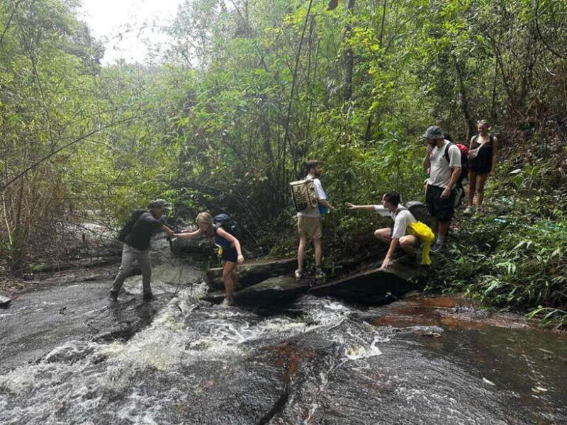 Chiang Mai: 1-Day Jungle Trekking in the Doi Inthanon Area - Key Points