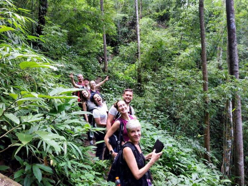 Chiang Mai: 1-Day Jungle Trekking in the Doi Inthanon Area - Itinerary and Highlights