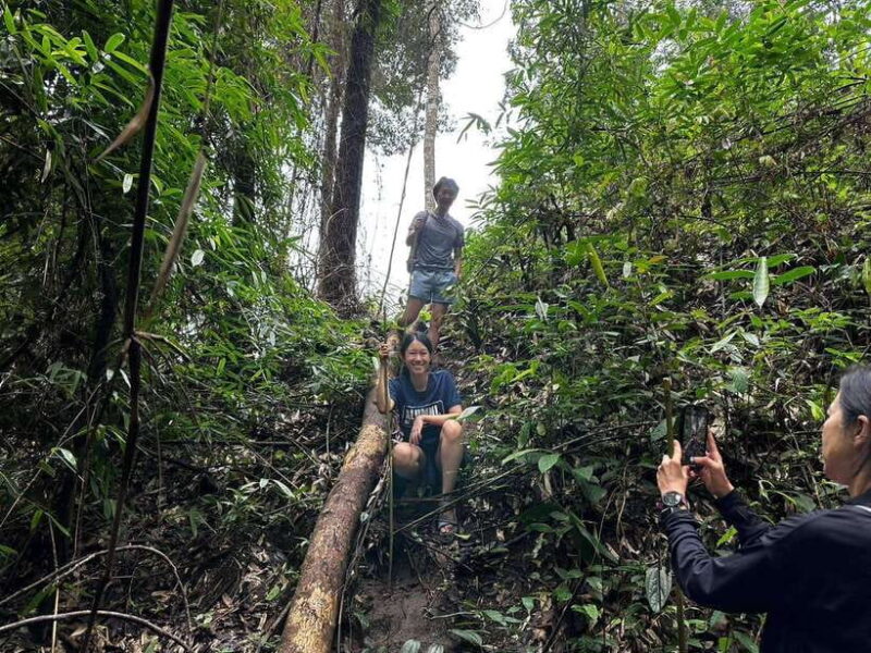 Chiang Mai: 1-Day Jungle Trekking in the Doi Inthanon Area - What to Bring and Important Information