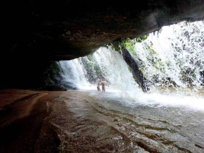 Chiang Mai: 1-Day Jungle Trekking in the Doi Inthanon Area - Preparing for the Jungle Trekking Adventure