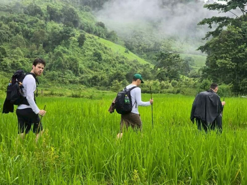 Chiang Mai: 1-Day Trekking Experience to Village & Waterfall - FAQ