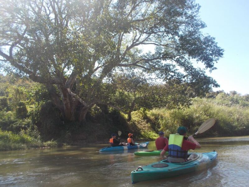 Chiang Mai: 15 Km Leisure River Kayaking at Mae Ngat Forest - Pricing and Booking