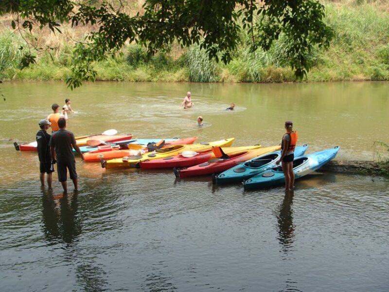 Chiang Mai: 15 Km Leisure River Kayaking at Mae Ngat Forest - Inclusions and Safety
