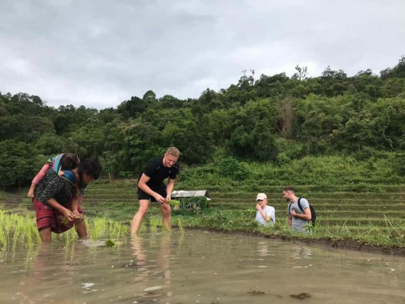 Chiang Mai: 2-Day, 1-Night Non-Touristy Trek - The Sum Up: Who Is This Tour Best For?