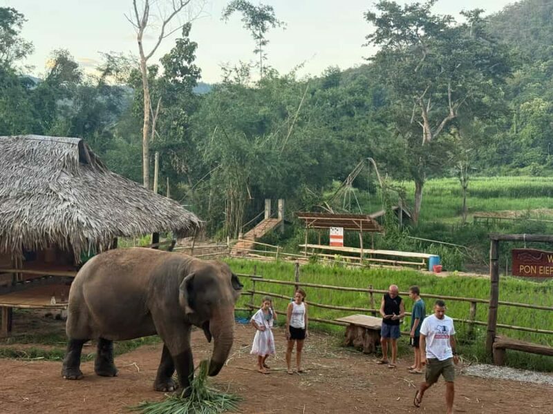 Chiang Mai 2-Day: Good Morning Elephant & Overnight Homestay - Key Points