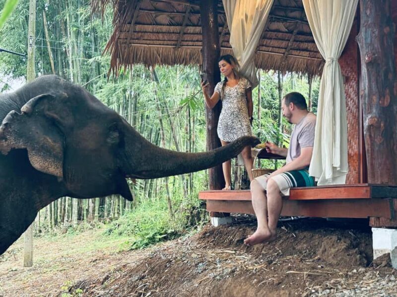 Chiang Mai 2-Day: Good Morning Elephant & Overnight Homestay - A Deep Dive into the Experience